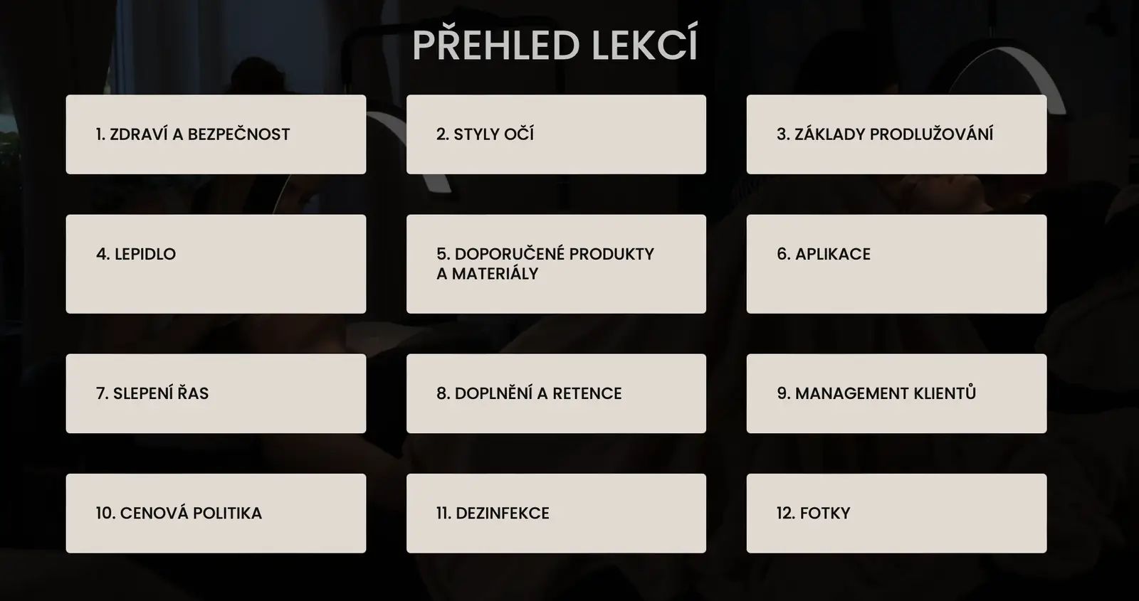 Přehled 12 lekcí online kurzu